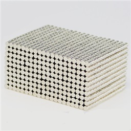 Neodymium Magnet (Mini Cylinder 2mm x 2mm)