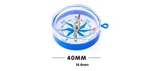 Compass (Chinese Text)