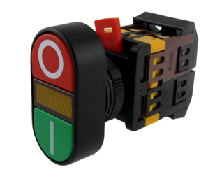 On/Off Momentary Push Button (Panel Mount with Light Indicator; 220V)